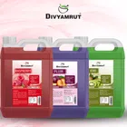 Combo of Divyamrut Raspberry with Pulm & Kiwi Hand Wash (1000 ml, Pack of 3)
