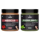 Natural Hibiscus & Pudina Powder for Skin & Hair 