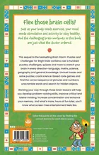 Brain Storm 4: Puzzles and Challenges for Bright Kids
