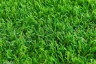 Artificial Grass Doormat 