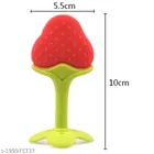Silicone Fruit Nibbler with Teether for Baby 