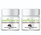 Jamalgata Powder for Hair Fall (50 g, Pack of 2)