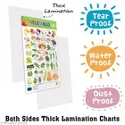 Bookford Publications Both Sides Big Laminated Charts – Vegetables & Wild Animals 