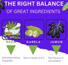 Trivang Neem Karela Jamun 200g Powder for Maintaining Blood Sugar Levels 