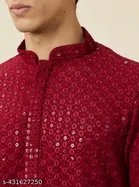 Embellished Mandarin Neck Kurta for Men 