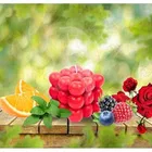 Long Lasting Aroma Jar Candles 