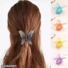 Fancy Hair Clips for Women 