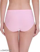 Nylon Briefs for Women, Multicolour, Pack of 4 