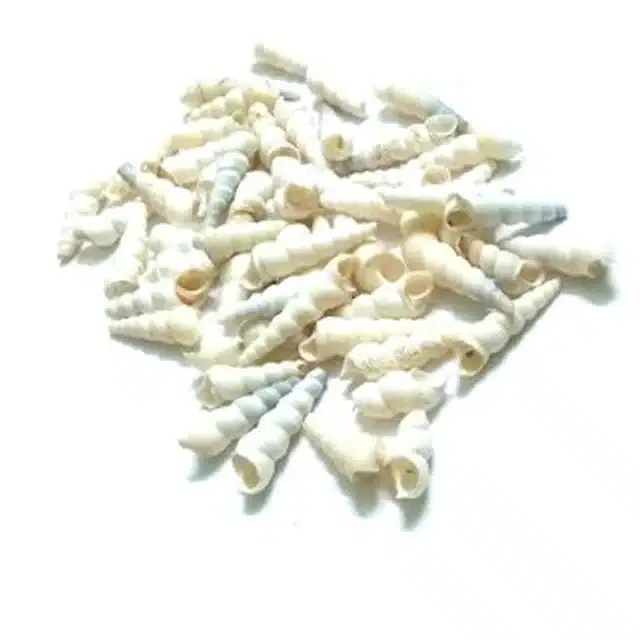 Sea Shells for Home Decor & Aquarium (White, 100 g)