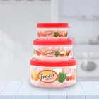 DREAM HOME Max Fresh Container Set 