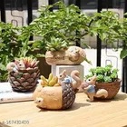 Terracotta Decorative Plant Holders for Home Decor 