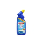गैंडा टॉइलेट क्लीनर 250 ml