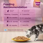 Whiskas Kitten Tuna Cat Food 7x80g