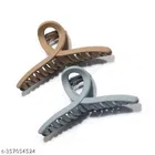 Fancy Hair Clips for Women 