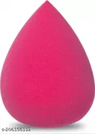 5 Pcs Makeup Brushes & Eyeliner with Makeup Blender 