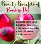 Park Daniel Rosehip Oil & Jojoba Oil 