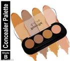 Ronzille Matte 4-in-1 Concealer 