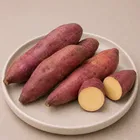 शकरकंदी | 500 g