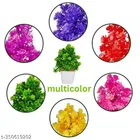 Artificial Plants with Pot 