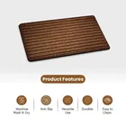 Status Dirt Trapper Doormat 36x56cm Brown