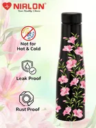 Stainless Steel Insulated Single Wall Water Bottle 