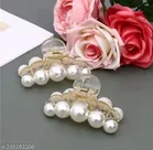 Plastic Hair Clutcher for Women & Girls 