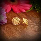 Alloy Gold Plated Earrings for Women 