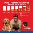 Drools Chicken and Egg Adult Dog Food, 1.2 kg