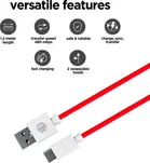 Nu Republic Blaze Hypersonic USB Type C Data Cable 