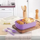 Plastic Lunch Box with Fork & Spoon 