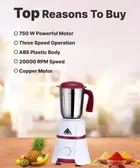 ATHOTS 750 W Mixer Grinder with 4 Jars 