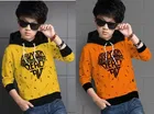 Cotton Blend Round Neck Hoodies for Boys 