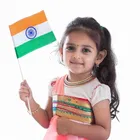 Handy Plastic Tricolor Flags - Set of 5