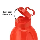 Airtight Plastic Water Bottle with Lid 