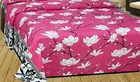 Polycotton Double Bedsheet with 2 Pillow Cover 