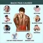 L.S BELT for BACK PAIN SUPPORT WAIST pack of 1