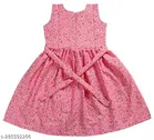 Pack of 2 Frocks for Girls 