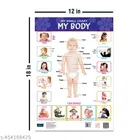 Bookford Publications My small chart Alphabet, Birds & My Body, Set of 3