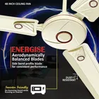Maxotech Energise 48 Inch Super Ultra High Speed 3 Star 1200 mm 3 Blade Ceiling Fan  