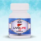 LIVO LIFE DS CAP. 60caps, Helps to maintain digestive health and prevent gas., 