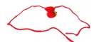 Synthetic Rakhi for Raksha Bandhan 