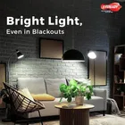 EVEREADY 9W Rechargeable Bulb, Ideal for Powercuts, Energy Efficient 4 hrs Bulb Emergency Light 