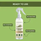 Combo of Rosemary Water Hair Spray 