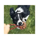Rop Toys combo for Puppies & Medium Dogs Toys 