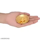 Tortoise with Plate 