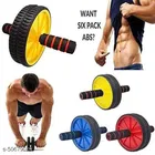 Double Spring Tummy Trimmer with Ab Wheel Roller 