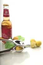 Stainless Steel Lemon Squeezer with Opener 