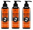 Park Daniel Beard Wash 