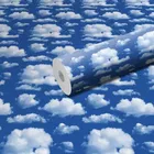 PVC Self Adhesive Wall Stickers 