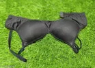 Padded Bra for Women 